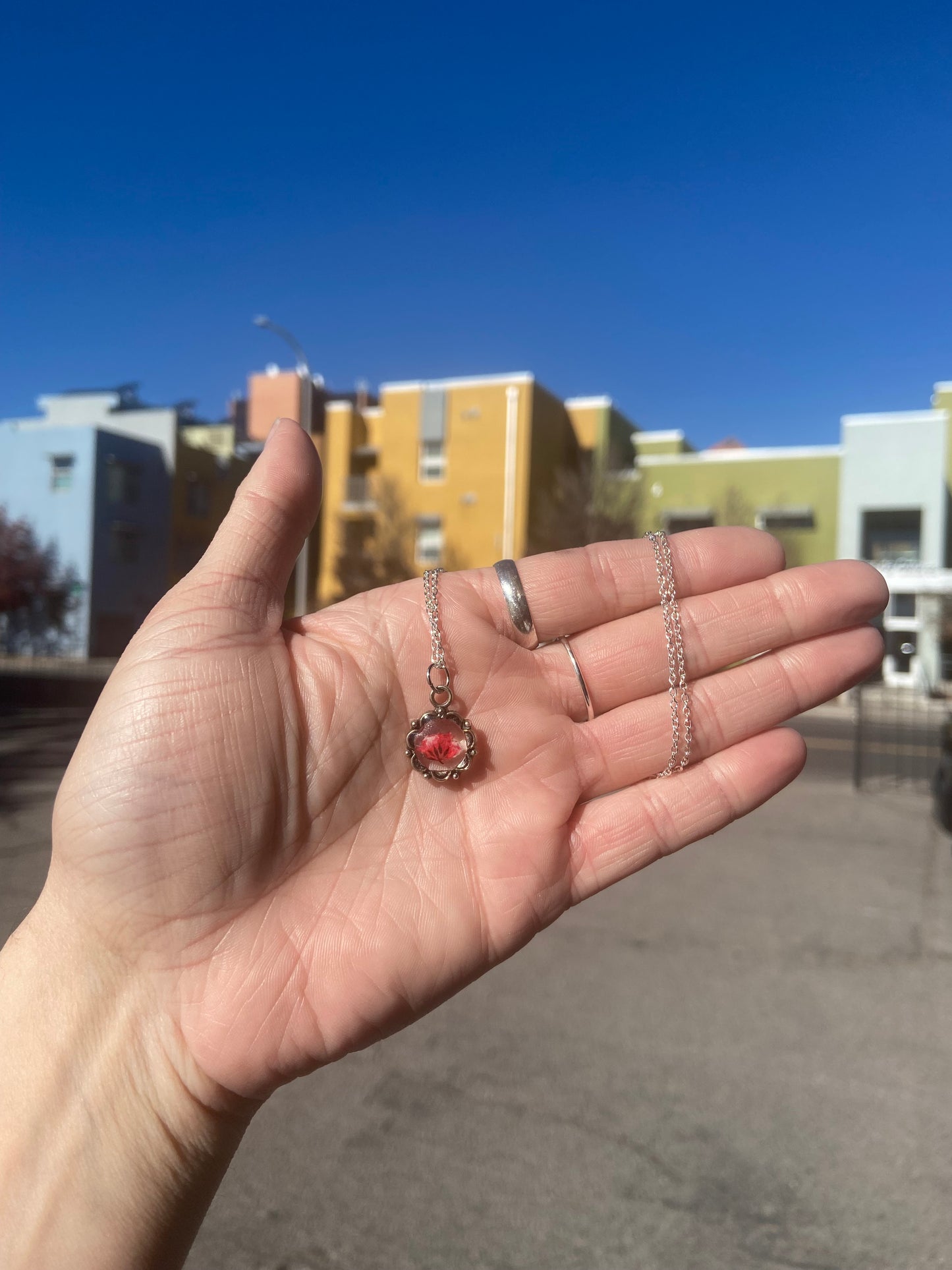 Baby's Breath - Tiny single red baby's breath flower in tiny circle pendant, 16" adjustable stainless steel chain included