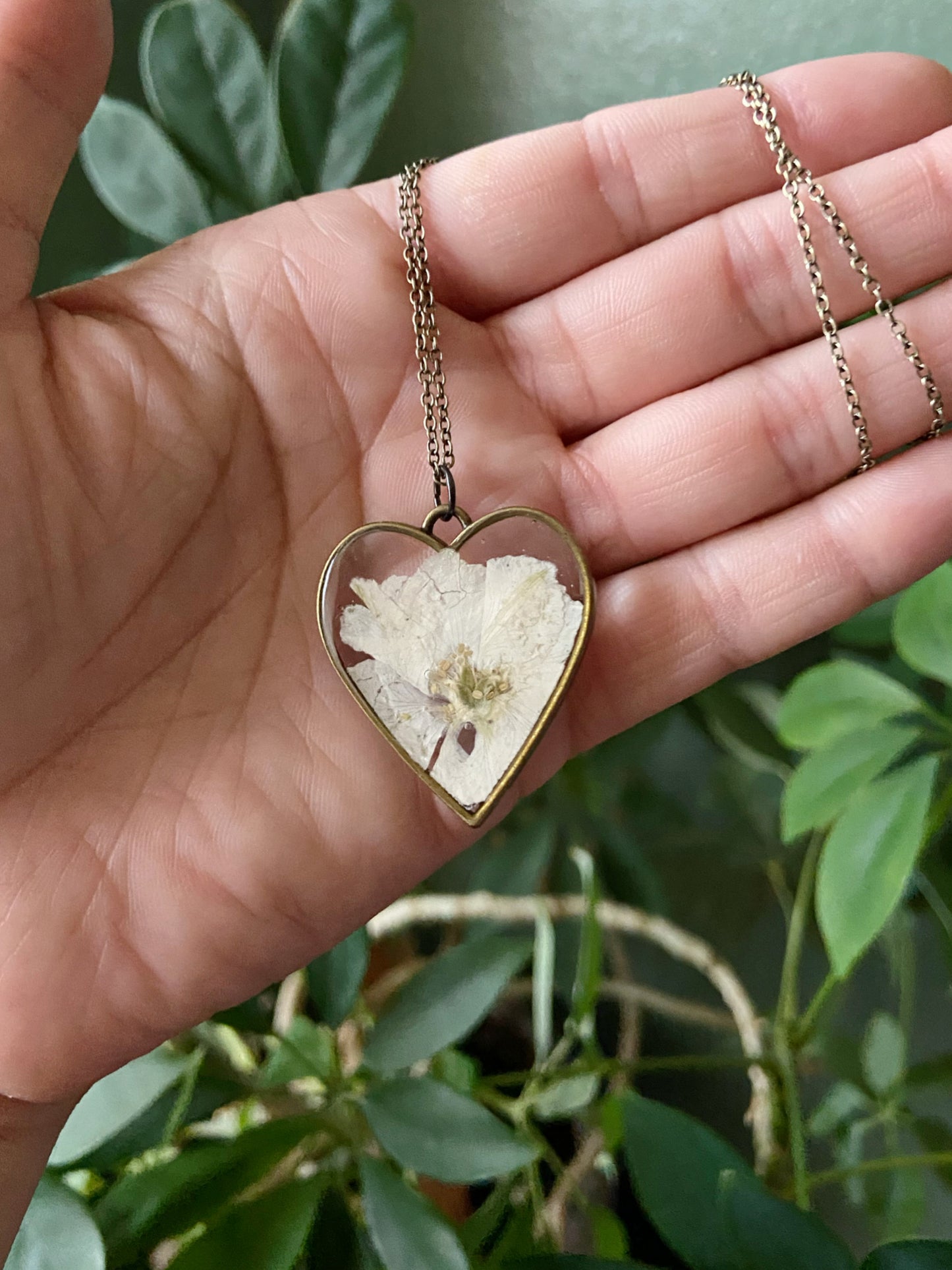Larkspur- Pressed white flower inside large bronze open heart pendant, 16" bronze chain included