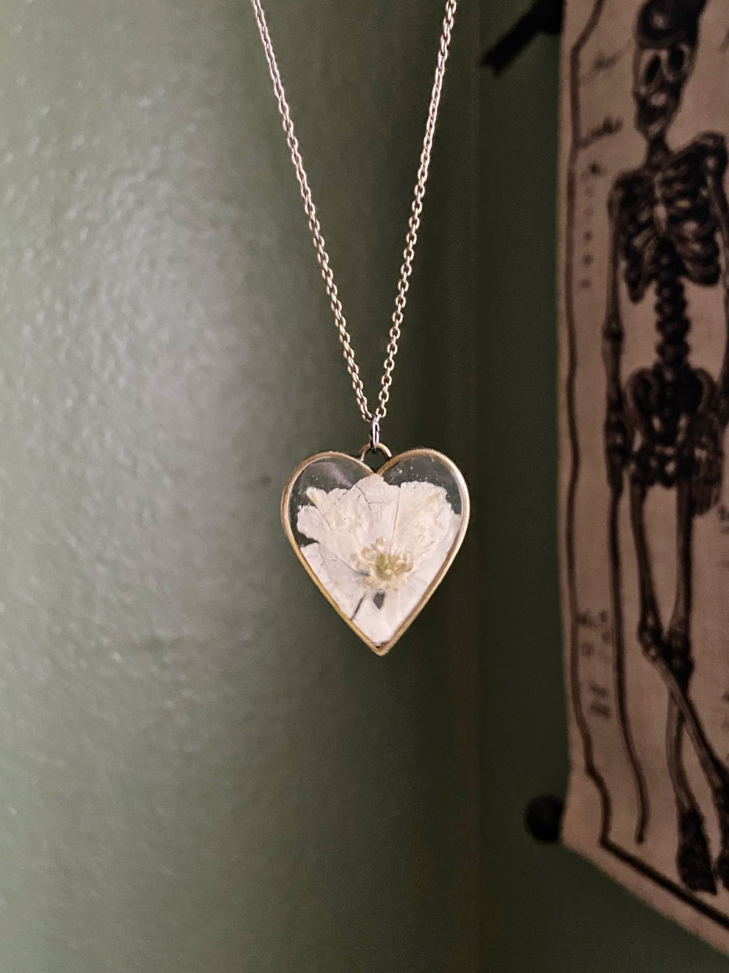 Larkspur- Pressed white flower inside large bronze open heart pendant, 16" bronze chain included
