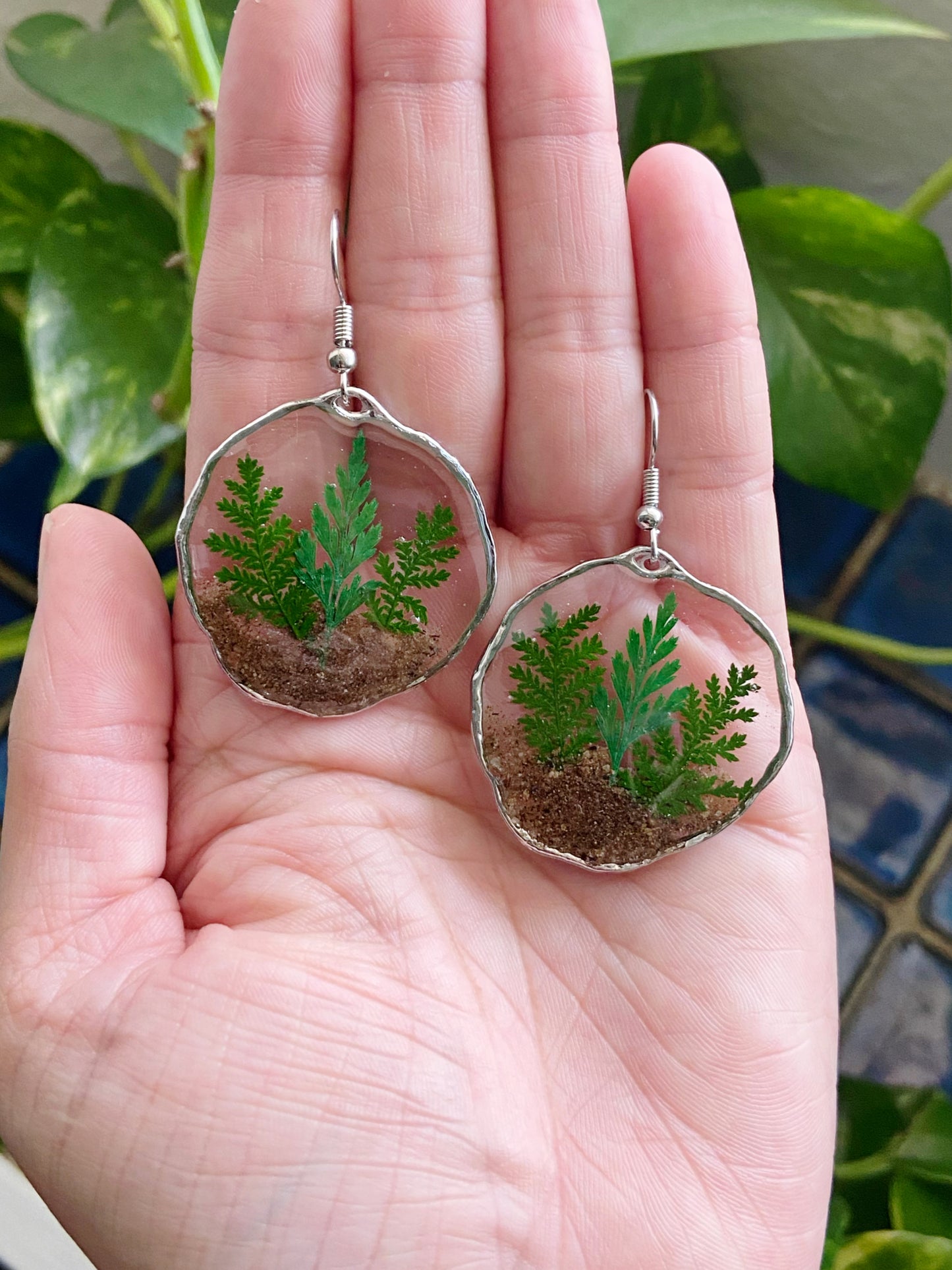 Terrariums- Soil & pressed fern earrings, preserved botanical jewelry (silver)