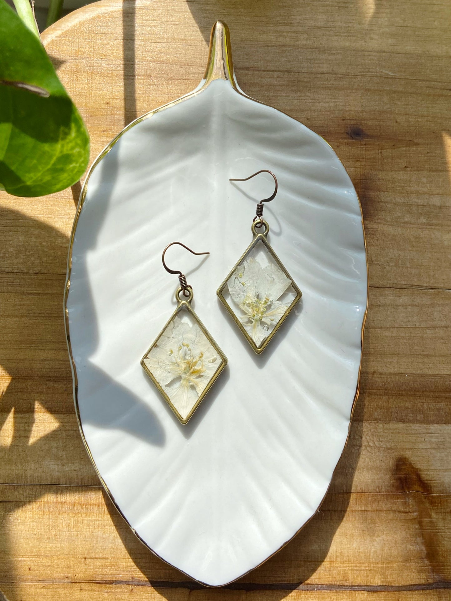 Larkspur- White pressed flowers inside bronze diamond shaped earrings, botanical nature lover jewelry