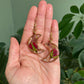 Roses - Red rosebud preserved botanical gold crescent moon earrings