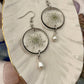 Queen Anne's Lace- Pressed white flowers inside black open circle earrings with a faux pearl drop bead