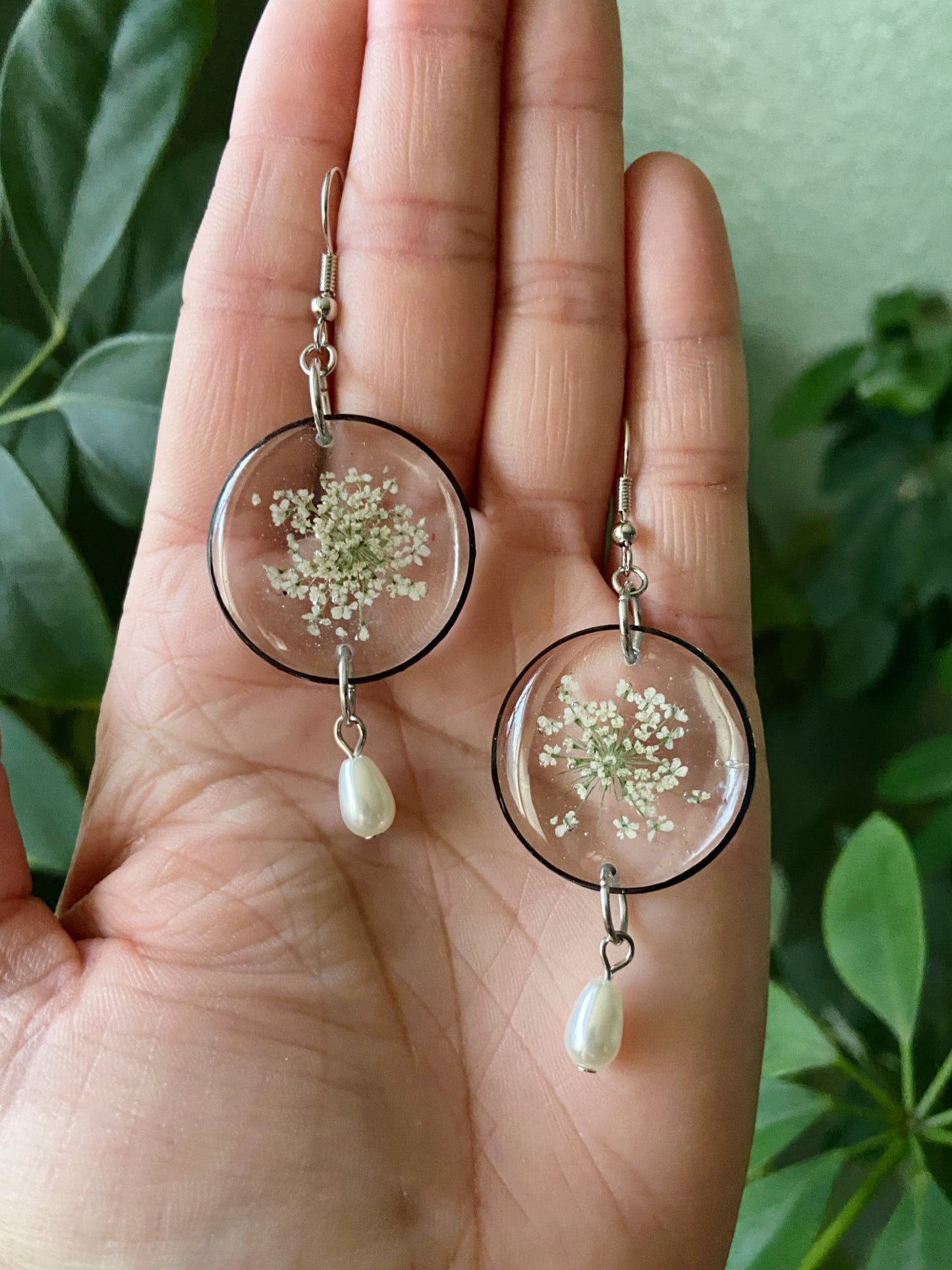 Queen Anne's Lace- Pressed white flowers inside black open circle earrings with a faux pearl drop bead