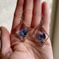 Forget Me Nots- Real blue flower clusters inside open silver diamond-shaped earrings