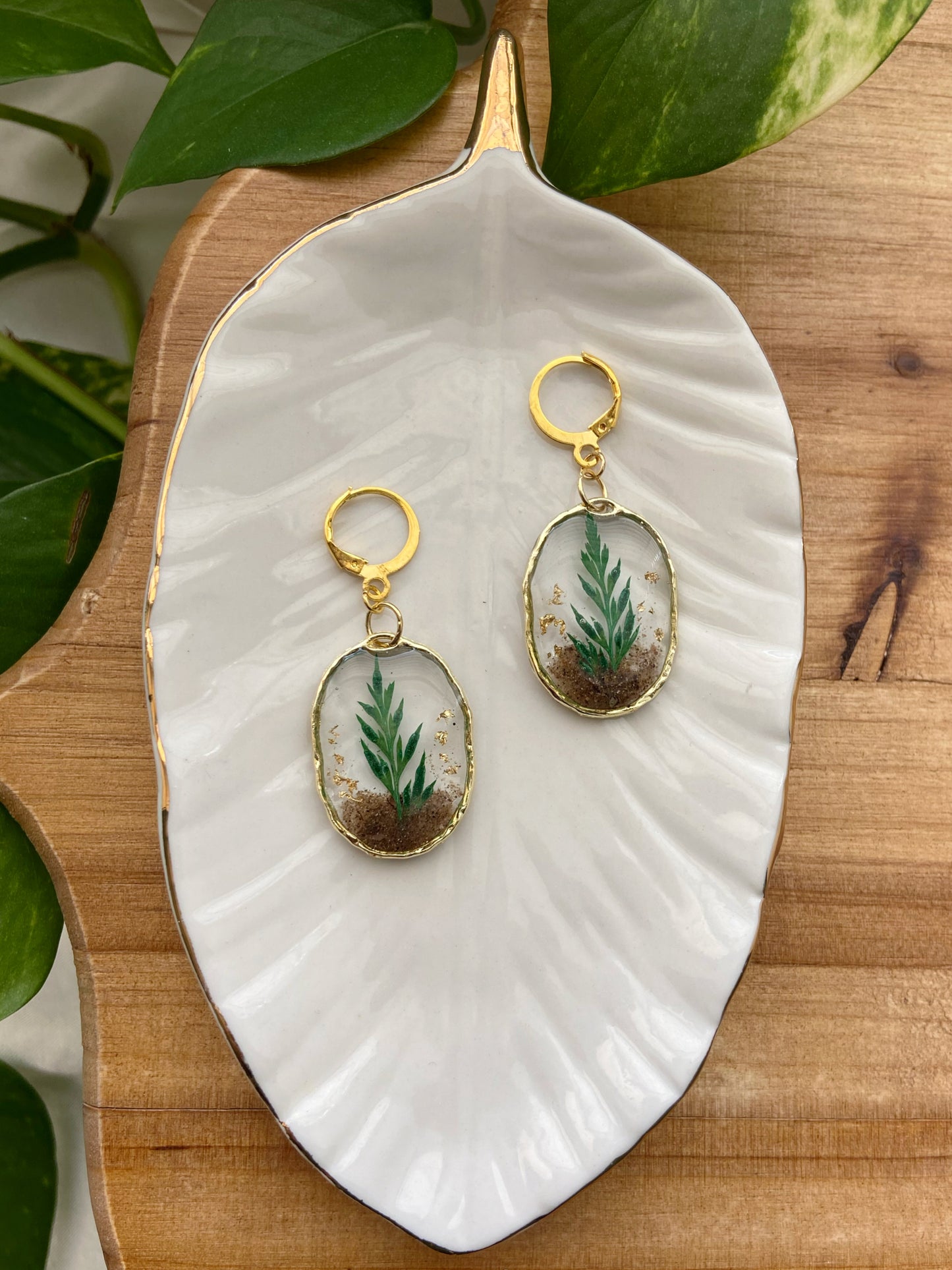Mini Oval Terrariums- Gold open earrings filled with real soil, plants & gold flakes, clasp hoop earring